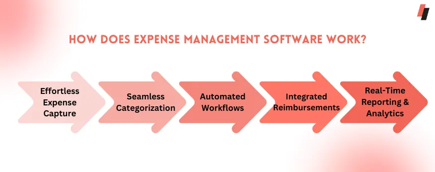 How Does Expense Management Software Work?