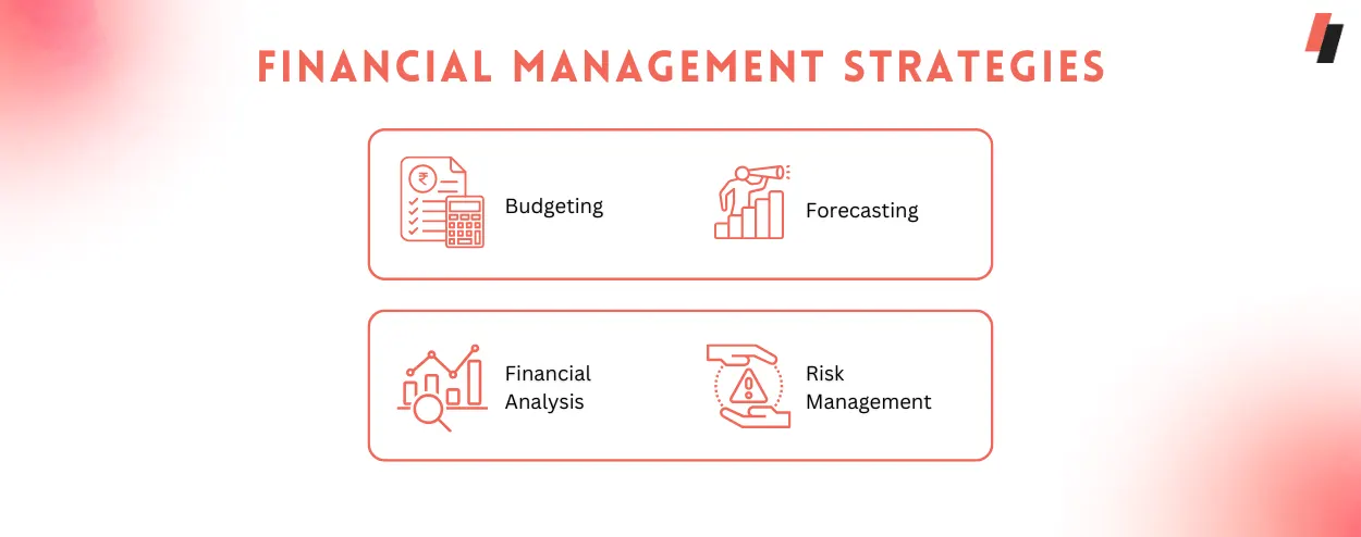 Financial Management Strategies